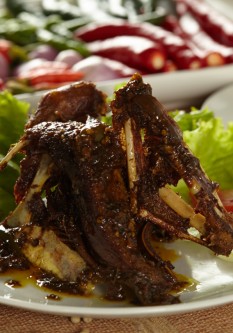 Bebek Lada Hitam Dada