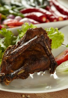 Bebek Muda 1/2 Ekor