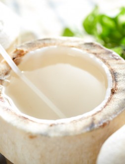 Kelapa Muda